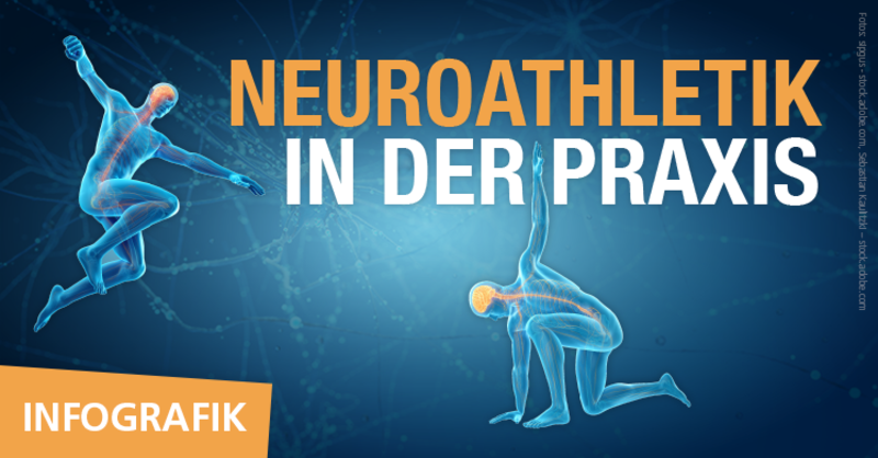 Infografik zur fM ONLINE-Artikelserie 'Neuroathletiktraining (NAT) in der Praxis' von Daniel Kaptain