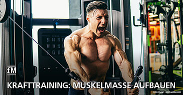 Krafttraining: Muskelmasse aufbauen – die besten Tipps zur Trainingshäufigkeit von Krafttraining.