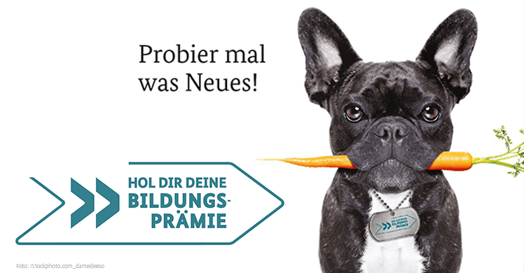 Hund frisst Karotte: ganz nach dem Motto 'probier mal was Neues' jetzt die Bildungsprämie beantragen.