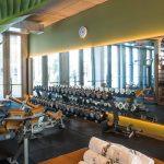 elbgym