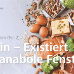 Ernährungsmythen: Existiert das anabole Fenster?