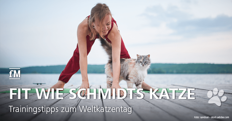 Trainingstipps und Wissenswertes rund um die Katze zum Internationalen Katzentag (International Cat Day).