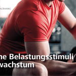 Sportwissenschaftler Patrick Berndt erklärt: So wachsen Muskeln – wirksame Belastungsstimuli für Muskelwachstum