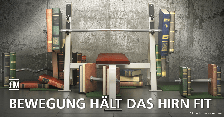 Hirngesundheit: Deutsche Wissenschaftler untersuchen den neurophysiologischen Zusammenhängen zwischen körperlicher Aktivität und kognitiver Leistung.