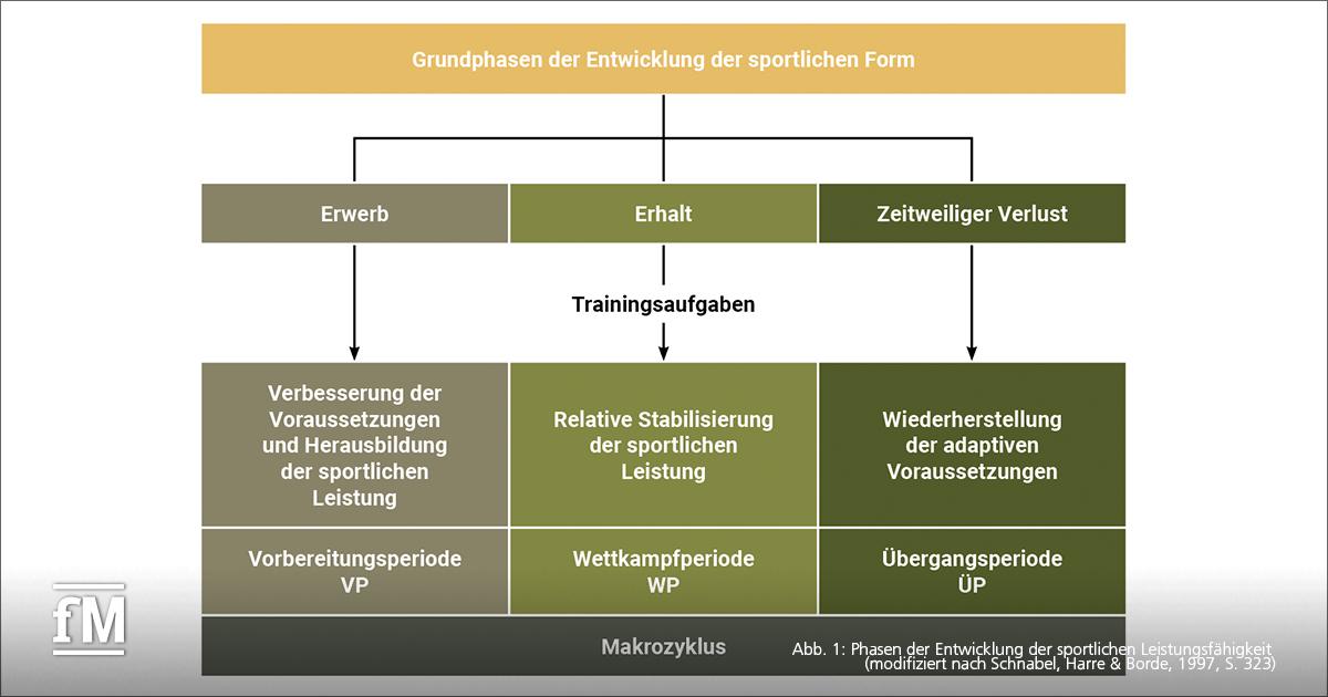 Schematische Grafik zur Darstellung der Grundphasen der sportlichen Formentwicklung. Die drei Hauptphasen 'Erwerb', 'Erhalt' und 'Zeitweiliger Verlust' sind mit den jeweiligen Trainingsaufgaben und Perioden (Vorbereitungsperiode, Wettkampfperiode, Übergangsperiode) unterlegt.