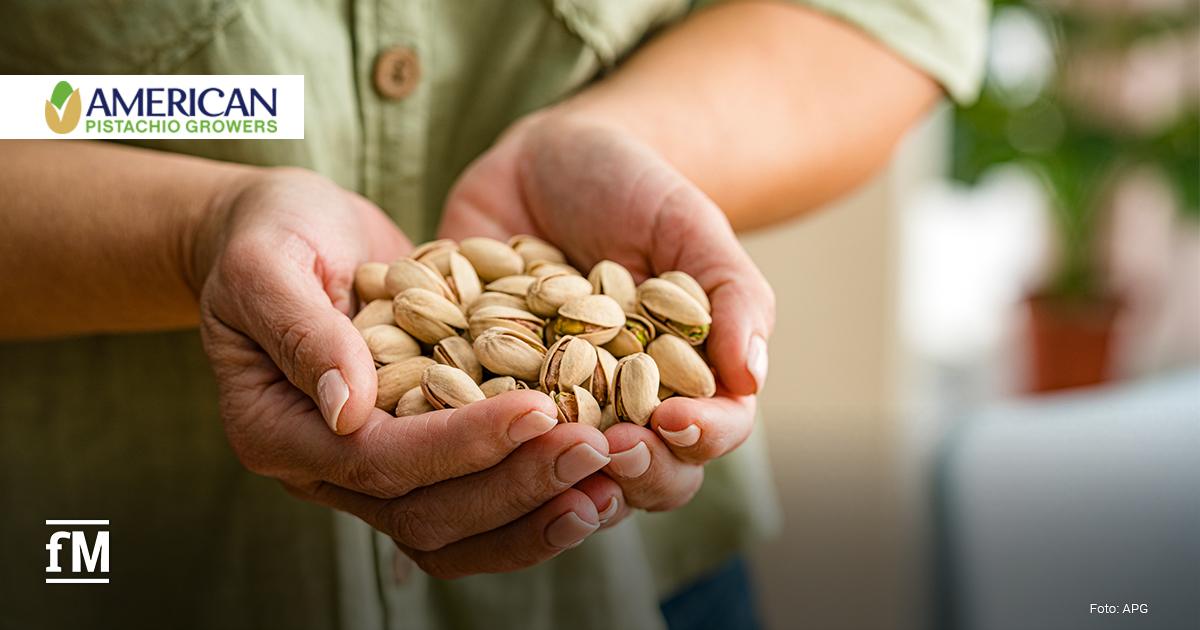 Zwei geöffnete Hände halten eine große Menge ungeschälter Pistazien; im Hintergrund ist verschwommen eine Pflanze zu erkennen, oben links das Logo von American Pistachio Growers.