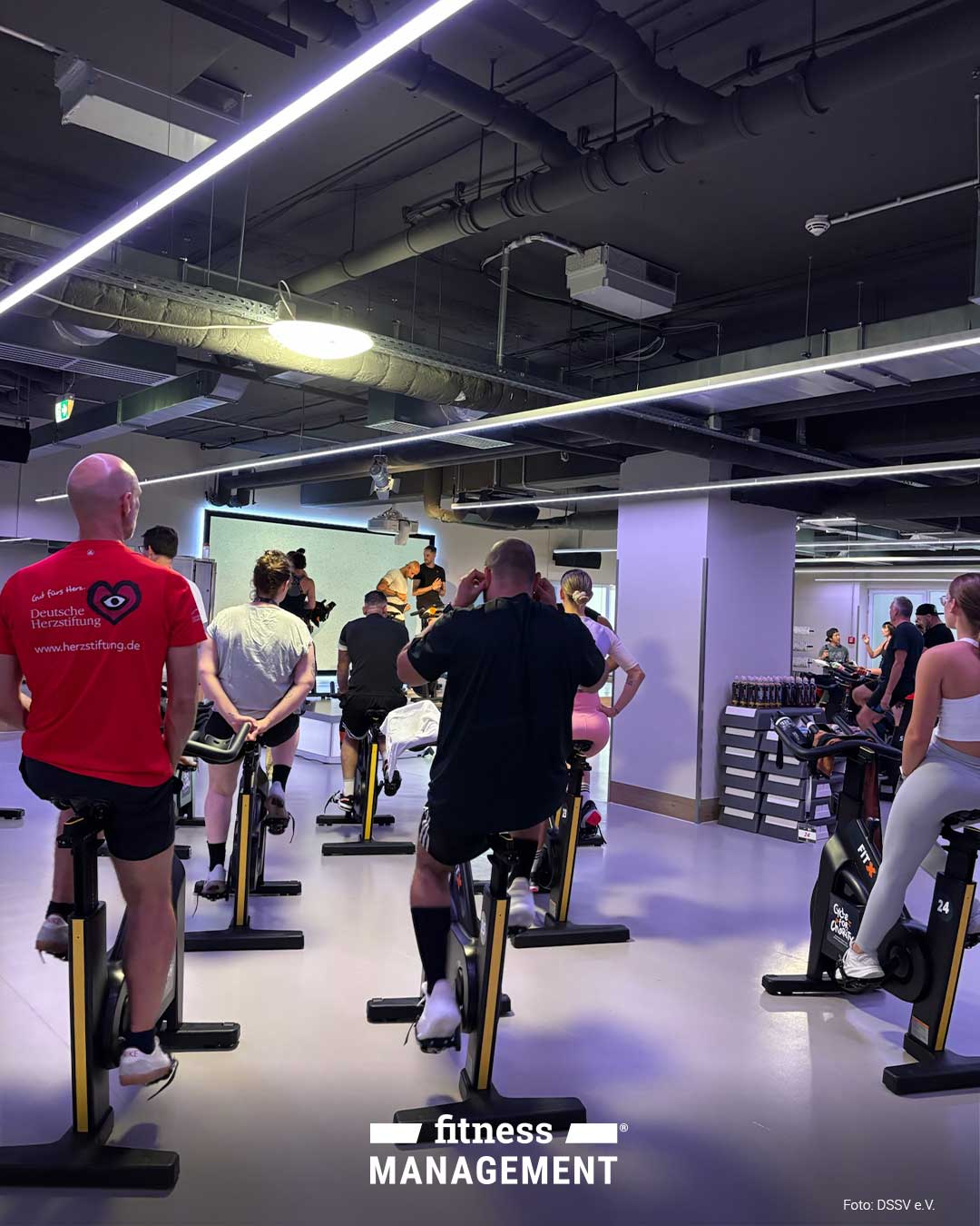 Mehrere Teilnehmende absolvieren ein Indoor-Cycling-Training im Rahmen der Studie der Deutschen Herzstiftung und FitX.