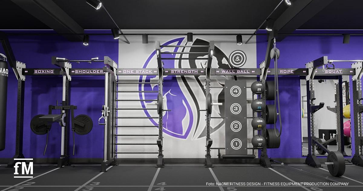 Frontalansicht eines funktionellen Rigs mit Leitersprossen, Scheibenablage, Wall-Ball-Ziel und lilafarbener Studiowand mit Logo.