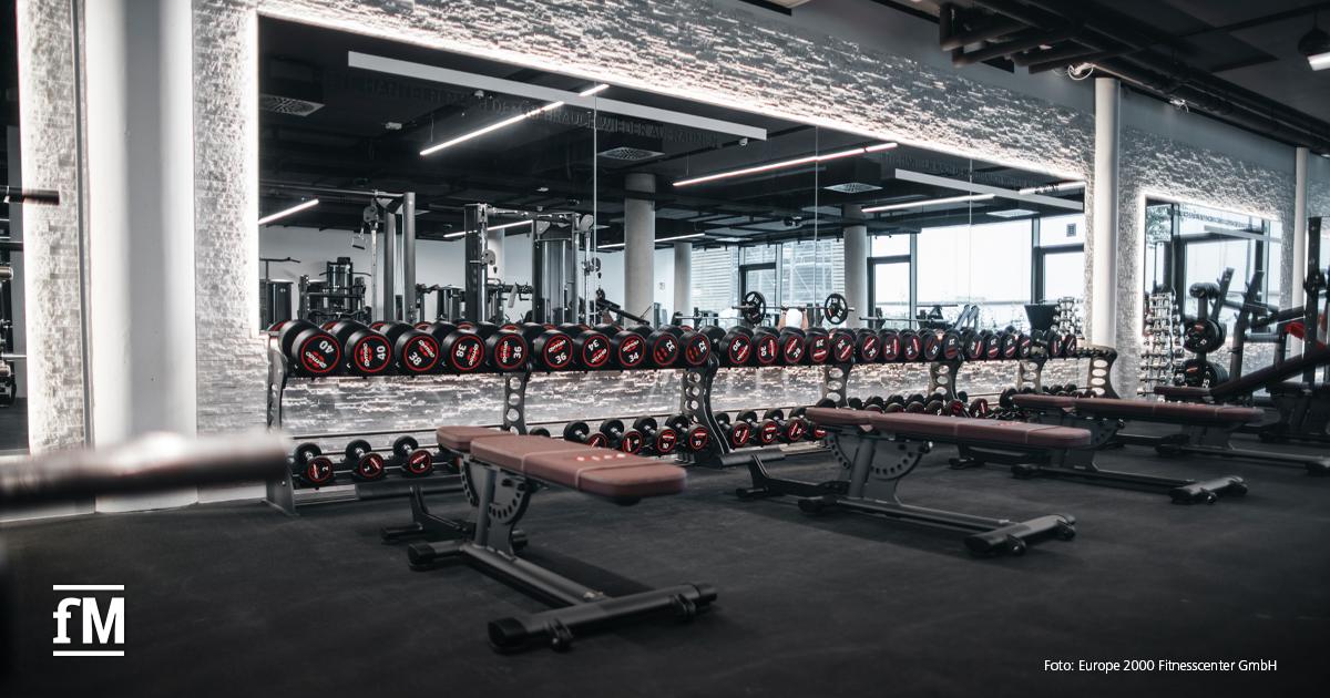Freihantelbereich mit Hanteln und Flachbänken in moderner Studioatmosphäre.