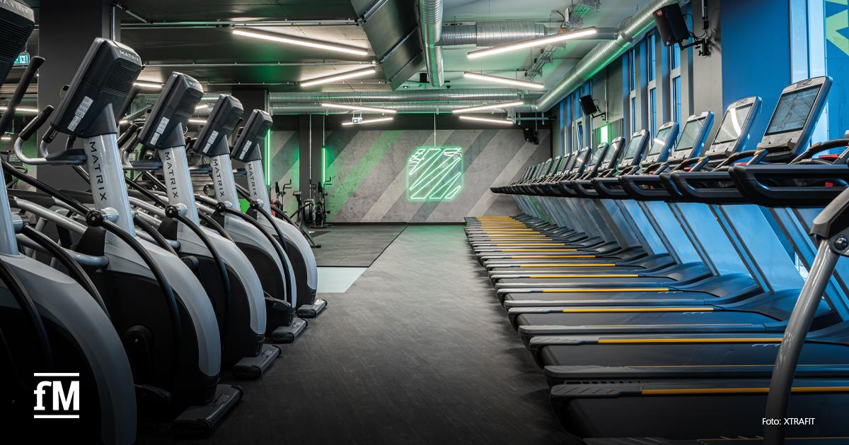 Große Cardiofläche mit Laufbändern und Crosstrainern in einem modern beleuchteten Fitnessstudio.
