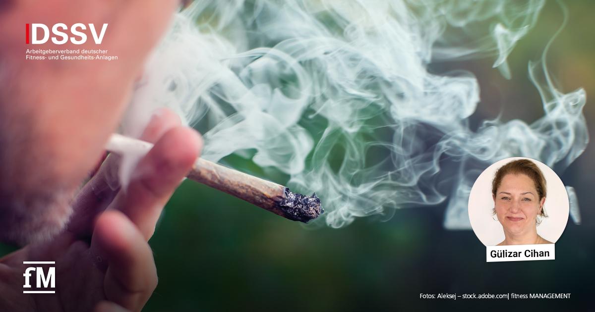 DSSV zu Cannabis im Studio Mann raucht Cannabis, daneben das DSSV-Logo und ein Porträt von Gulizar Cihan.