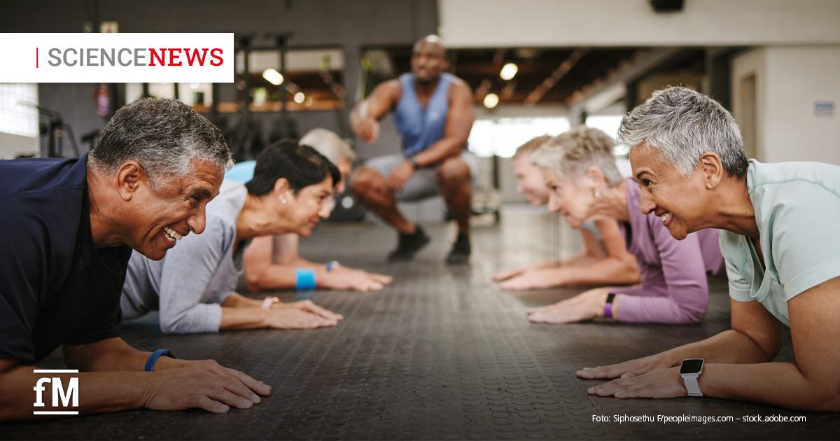 Science News: ältere Mitglieder im Studio optimal betreuen Ältere Menschen trainieren gemeinsam auf Matten in einem Fitnessstudio.