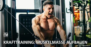 Trainingshäufigkeit beim Krafttraining: So oft sollten Sie Ihre Muskeln trainieren
